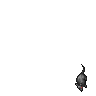 Cave Rat