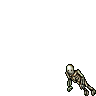 Skeleton